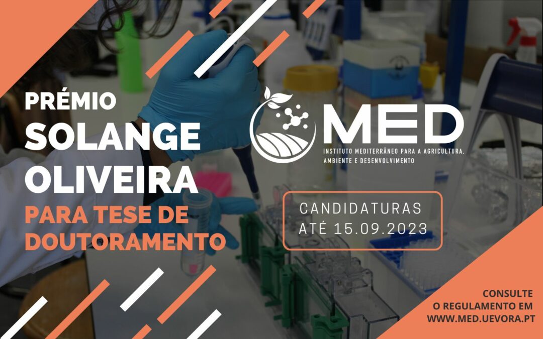 Prémios MED 2023 | Prémio Solange Oliveira