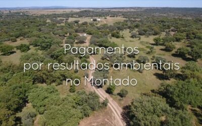 Medida agro-ambiental “Gestão do Montado por Resultados” novo PEPAC