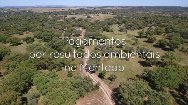 Medida agro-ambiental “Gestão do Montado por Resultados” novo PEPAC