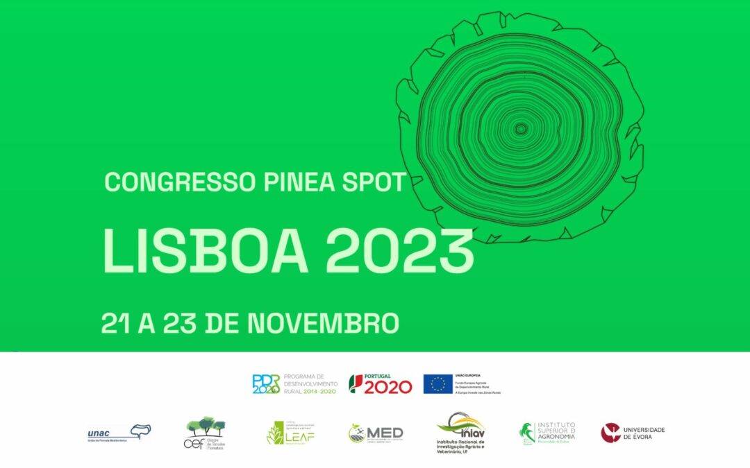 Conclusões do Congresso Pinea Spot 2023