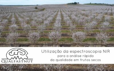 QUALFASTNUT – Utilização da espectroscopia NIR para a análise rápida da qualidade em frutos secos