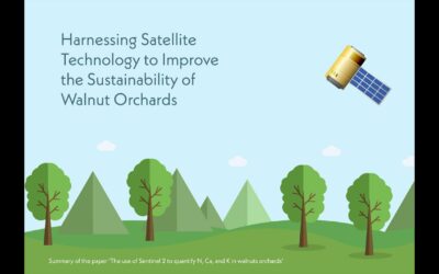 Harnessing Satellite Technology to Improve the Sustainability of Walnut Orchards