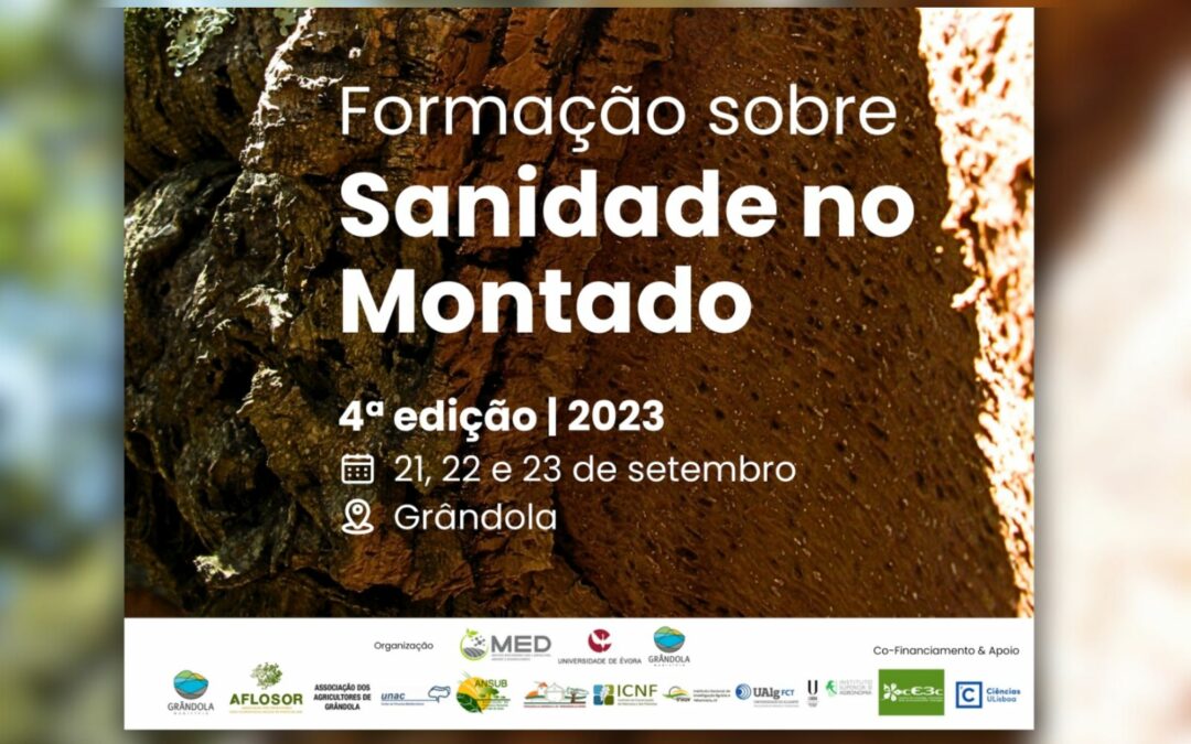 4ª edição da Formação sobre a Sanidade no Montado