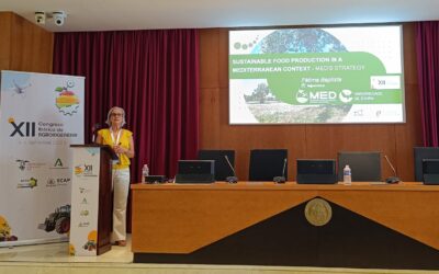 MED Director and Researchers were present at the XII Iberian Agroengineering Congress in Seville