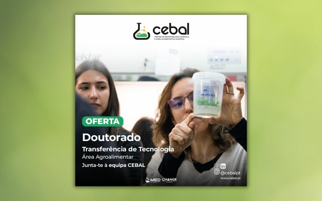 CEBAL | Concurso Doutorado Transferência de Conhecimento e Tecnologia