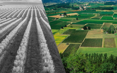 Relatórios não financeiros e Agricultura – Da Eficiência à Resiliência