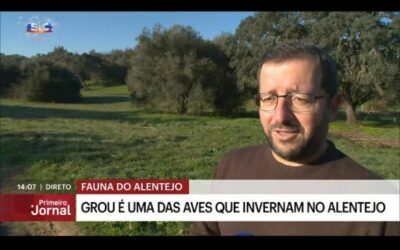 Investigador do MED participa em reportagem da SIC “Fauna do Alentejo”