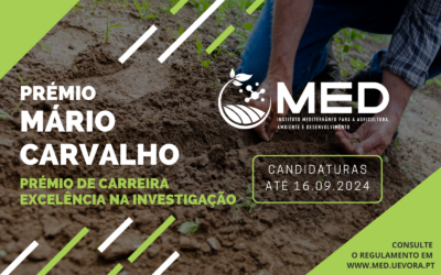 MED Awards 2024 | Mário Carvalho Prize
