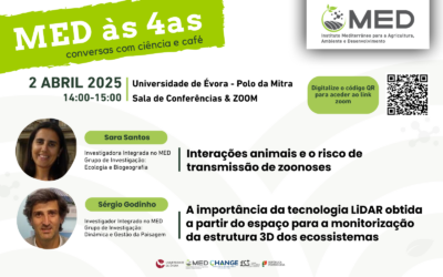 MED às 4as | 2 abril