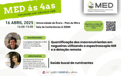 MED às 4as | 16 abril