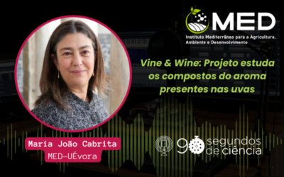 90 segundos de ciência | Maria João Cabrita fala sobre o Projeto Vine&Wine
