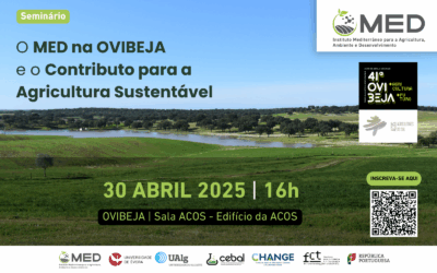 Seminário “O MED na OVIBEJA e o Contributo para a Agricultura Sustentável” | 30 de abril de 2025 | 16h00 | Edifício da ACOS