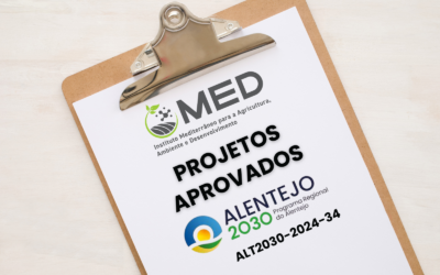 MED com cinco projetos aprovados no âmbito do ALT2030-2024-34