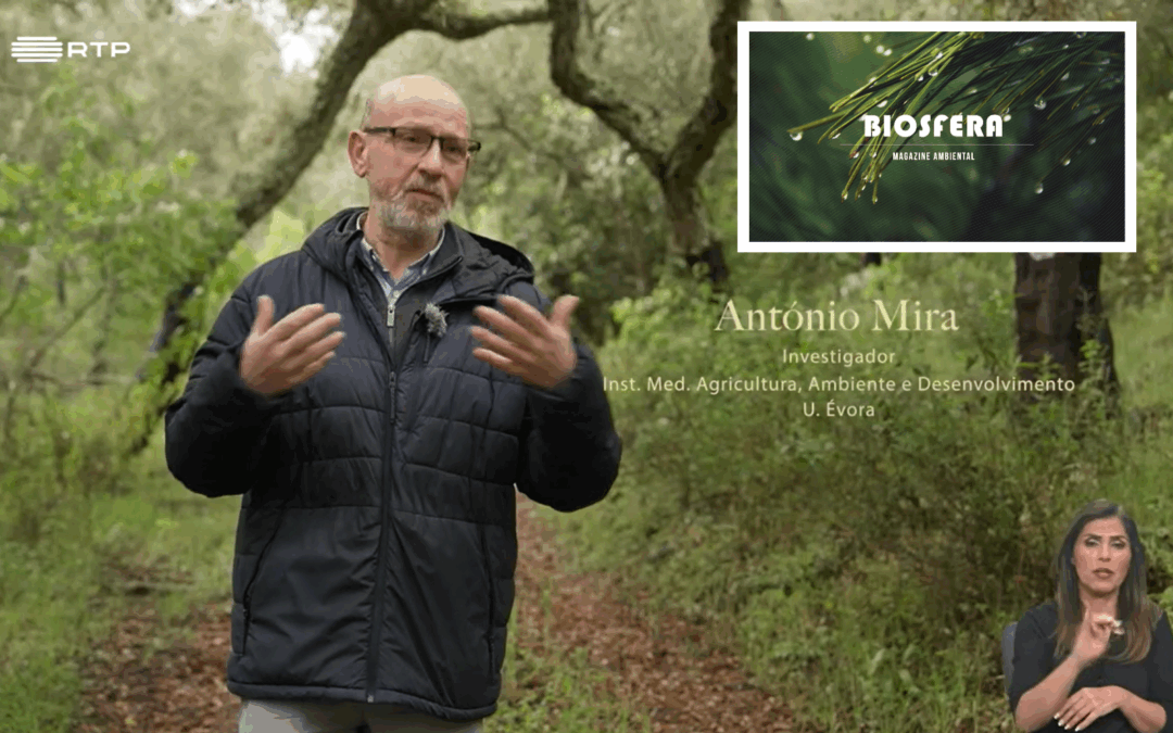 “Corrida ao Ouro em Montemor-o-Novo” | Investigador do MED participa no episódio do programa Biosfera da RTP