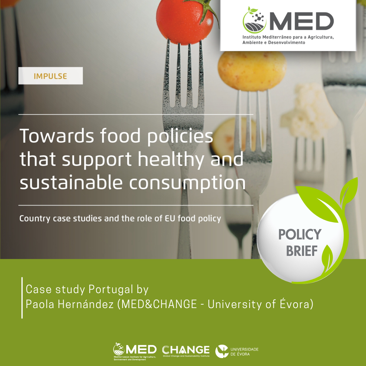 Policy Brief food policies Banner MED às 4as 16 de abril 2025