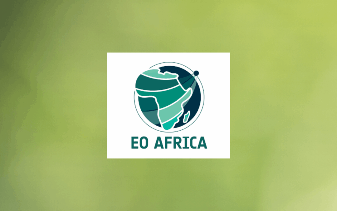 Call para propostas de investigação: Segurança alimentar e da água em África