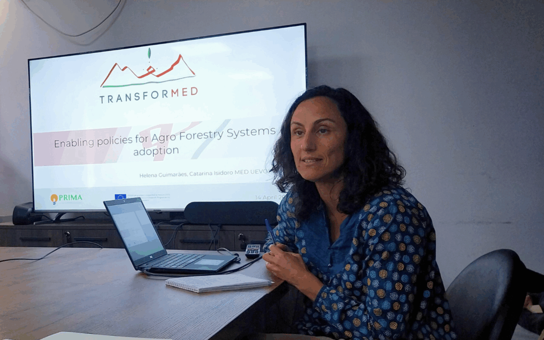 Projeto TransforMED: Investigadoras do MED partilham experiência do Montado na Tunísia