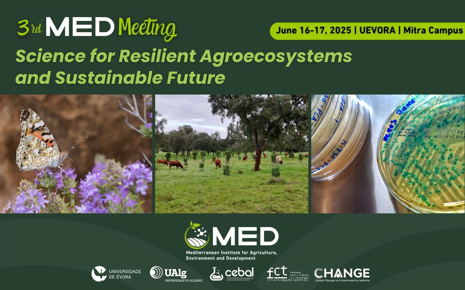 banner 3rd MED Meeting