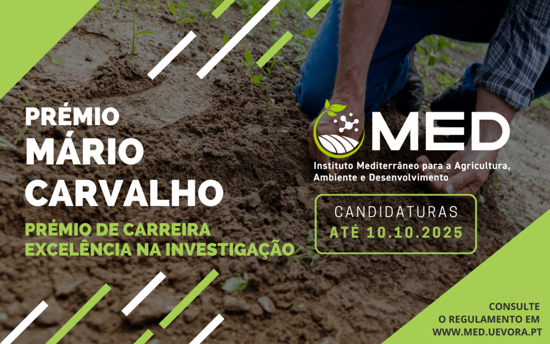 Prémios MED 2025 | Prémio Mário Carvalho