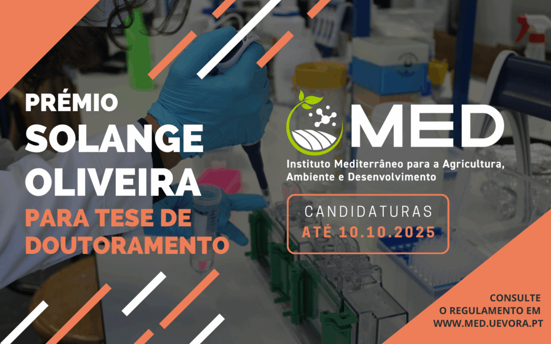 Prémios MED 2025 | Prémio Solange Oliveira