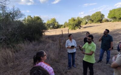 Dia Aberto do Projeto SUMO – Ilhas de Biodiversidade e Lançamento de Aplicação para Monitorização de Indicadores Agroecológicos