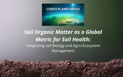 Matéria Orgânica do Solo proposta como métrica global para avaliar a saúde do solo