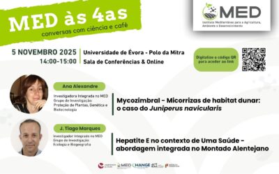 MED às 4as | 5 novembro