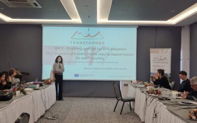 MED Projects | TransforMed – 2nd Meeting