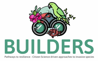 Projeto BUILDERS | Mobilidade Internacional