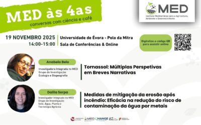 MED às 4as | 19 novembro