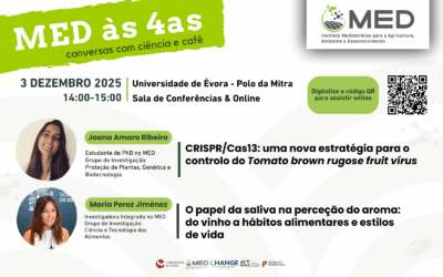 MED às 4as | 3 dezembro
