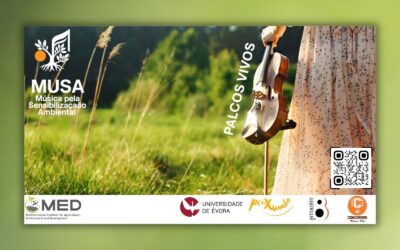 MUSA: MED tem nova iniciativa que liga música e ambiente