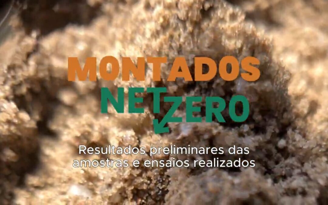 Montados Net-Zero | Resultados preliminares