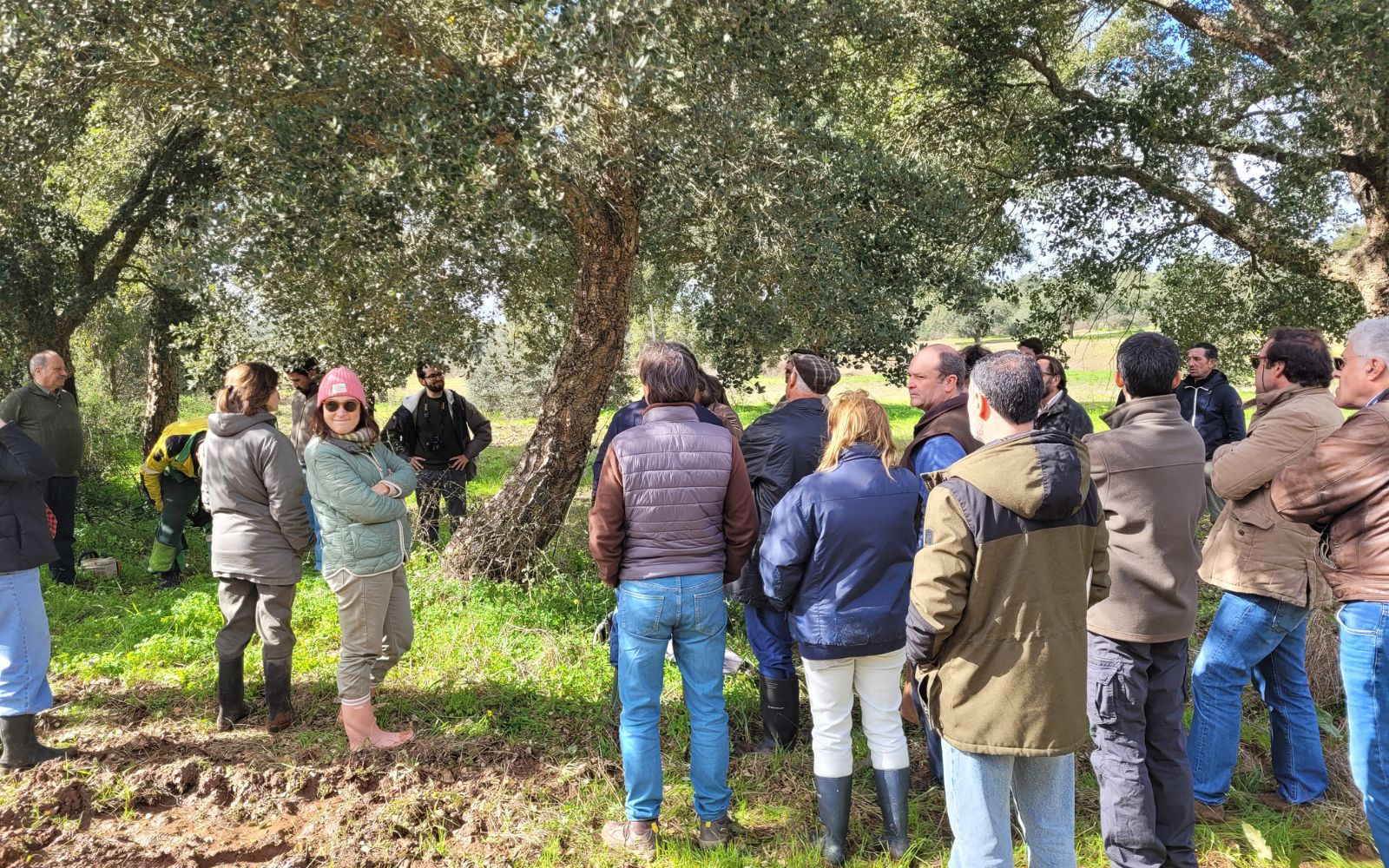 Banner MED às 4as 16 de abril 2025