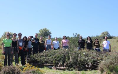 Projeto CARDIMED promoveu ação de voluntariado para apoiar a biodiversidade
