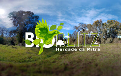 Descobrir, Registar e Proteger: o BioBlitz da Herdade da Mitra mostra que a biodiversidade está nas mãos de todos