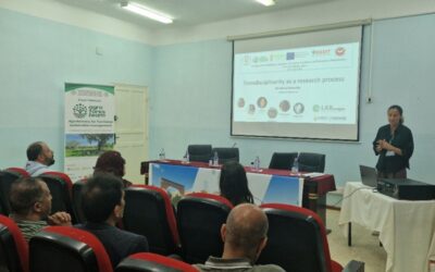 From the Montado to the Oasis: sharing on transdisciplinarity and participatory methodologies