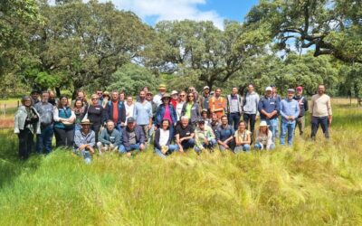MED hosts international delegation from the TransforMed project for an exchange on Mediterranean agroforestry systems