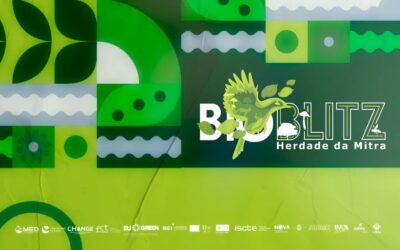 Bioblitz da Herdade da Mitra