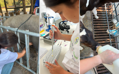 Investigadores do MED na “Farm Week” do Departamento de Zootecnia