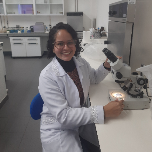 Eveliny Abreu de Andrade Vieira