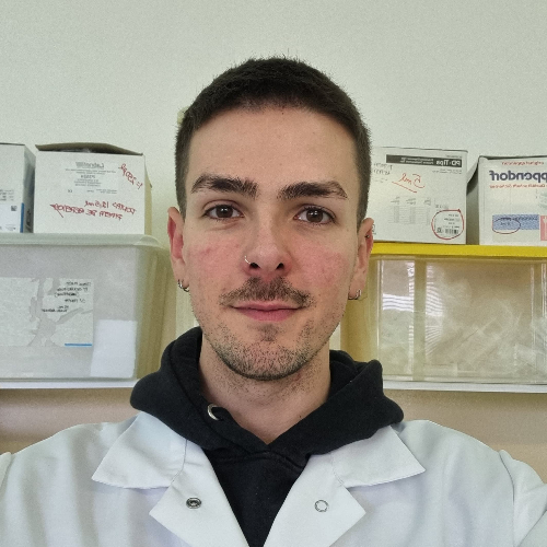 Daniel Salvaterra Fonseca