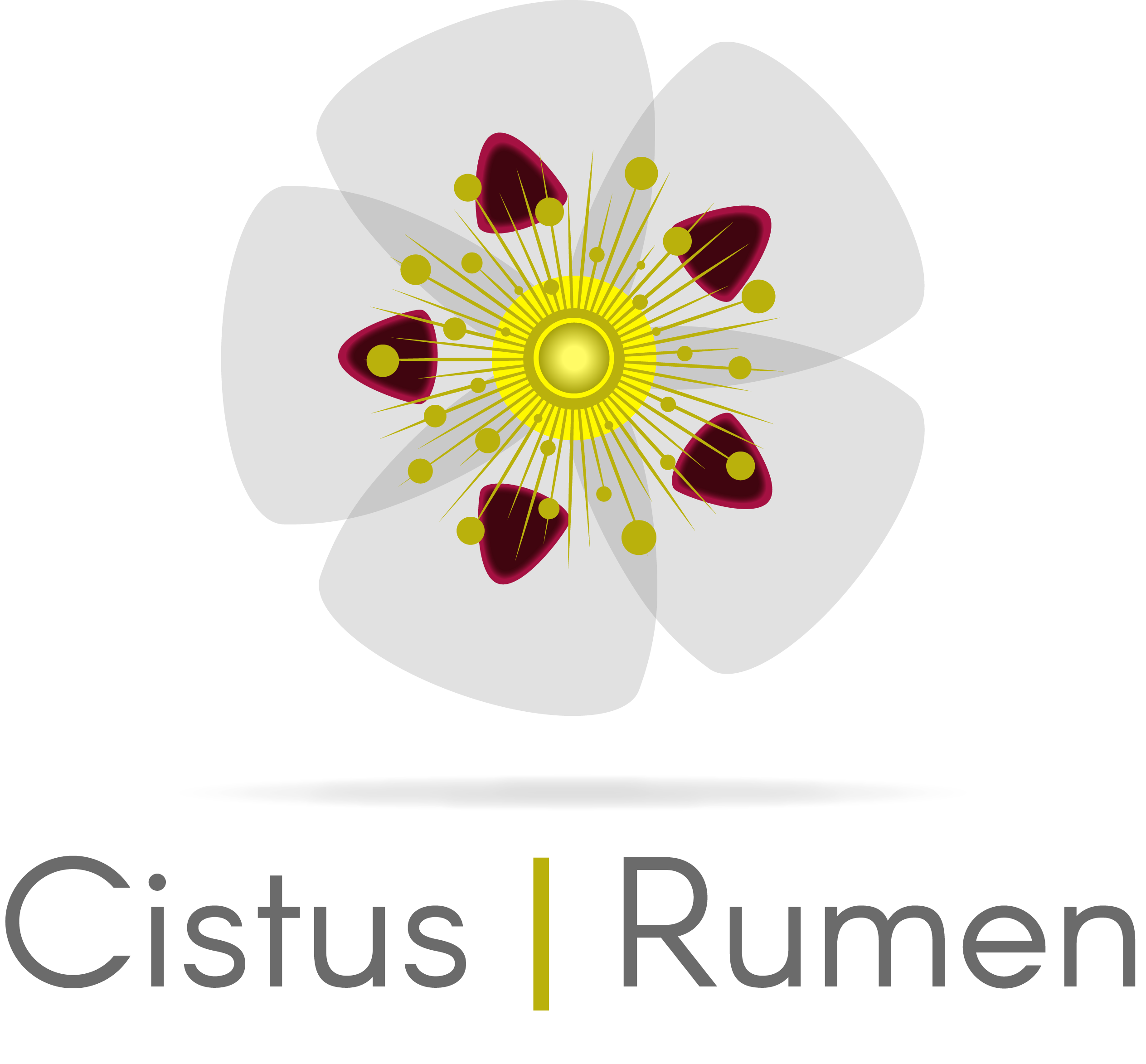 CistusRumen - Utilização Sustentável de Esteva (Cistus Ladanifer L.) em pequenos ruminantes – Aumento da competitividade e redução do impacto ambiental